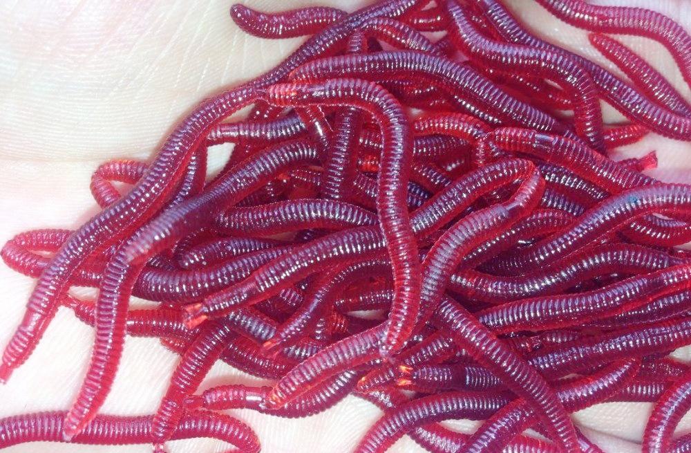 Your Rating Rate… Perfect Good Average Not that bad Very Poor